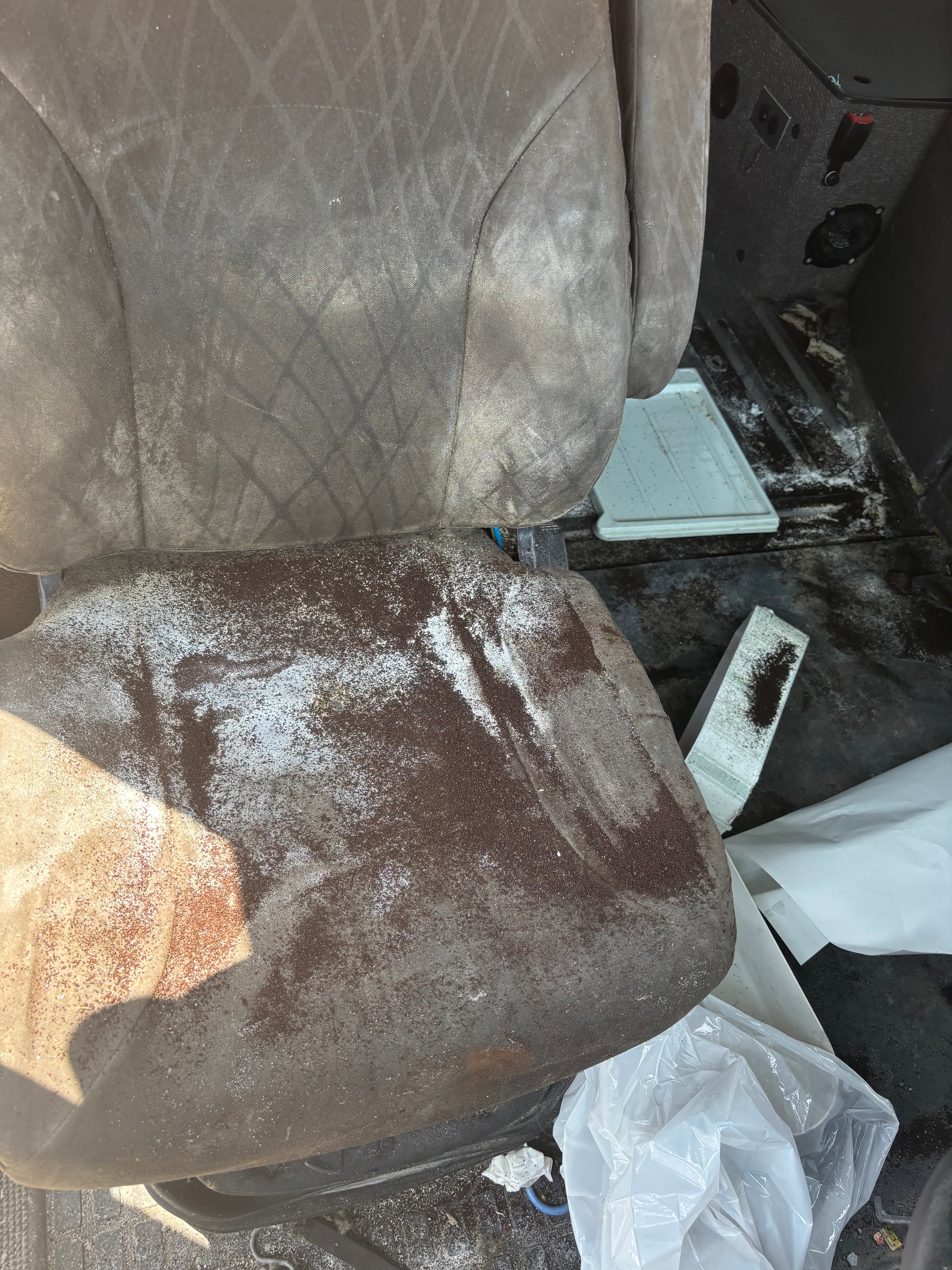 image after detailing